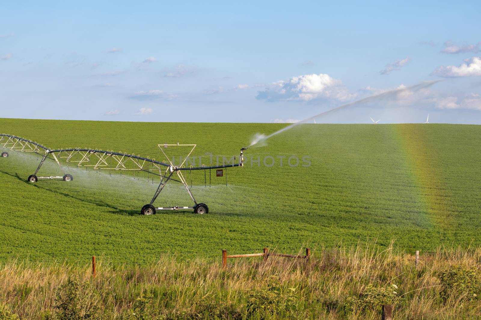 Sunny day Across Nebraska Fields . July 22, 2019, O'Nell, Holt county, Nebraska