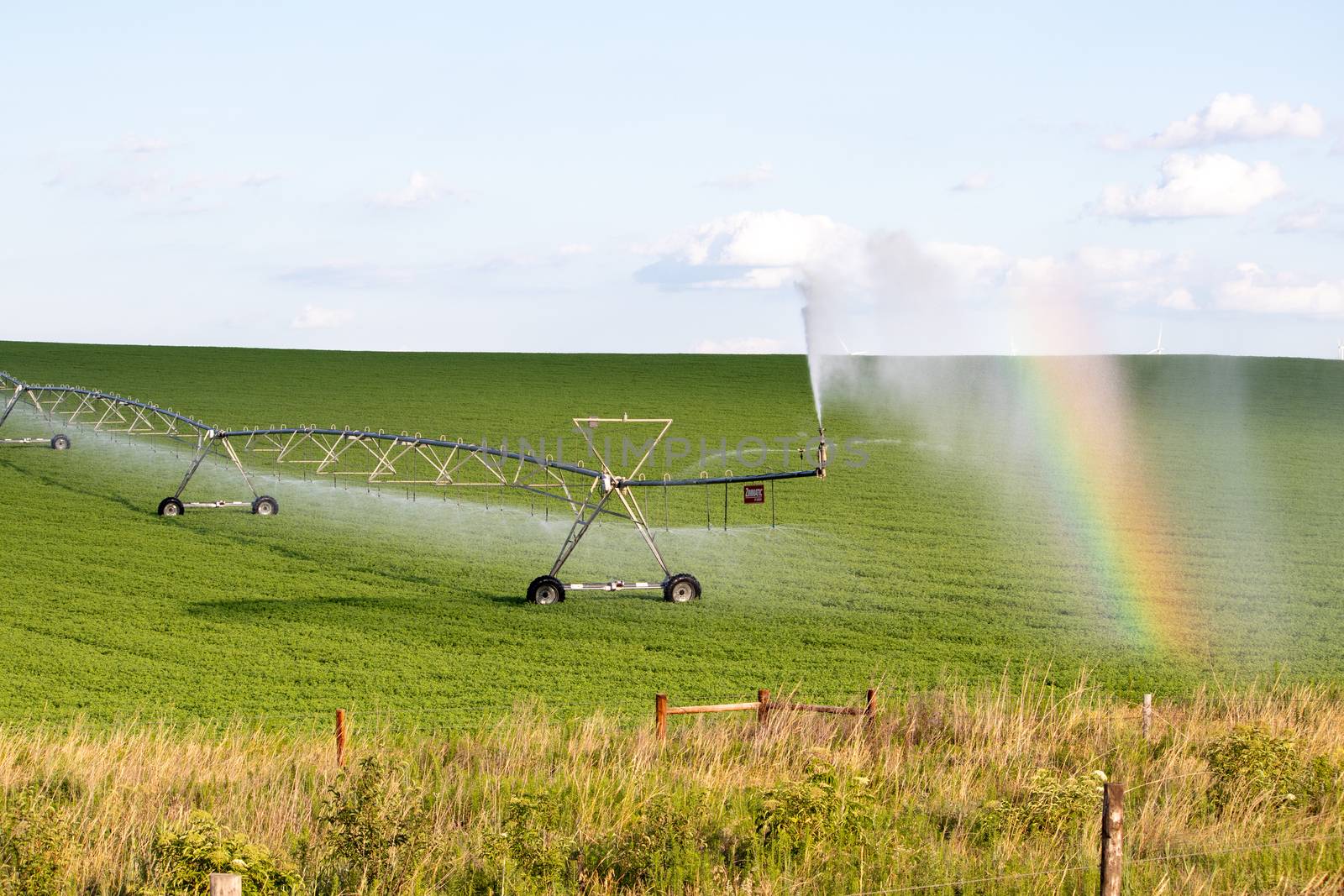 Sunny day Across Nebraska Fields . July 22, 2019, O'Nell, Holt county, Nebraska