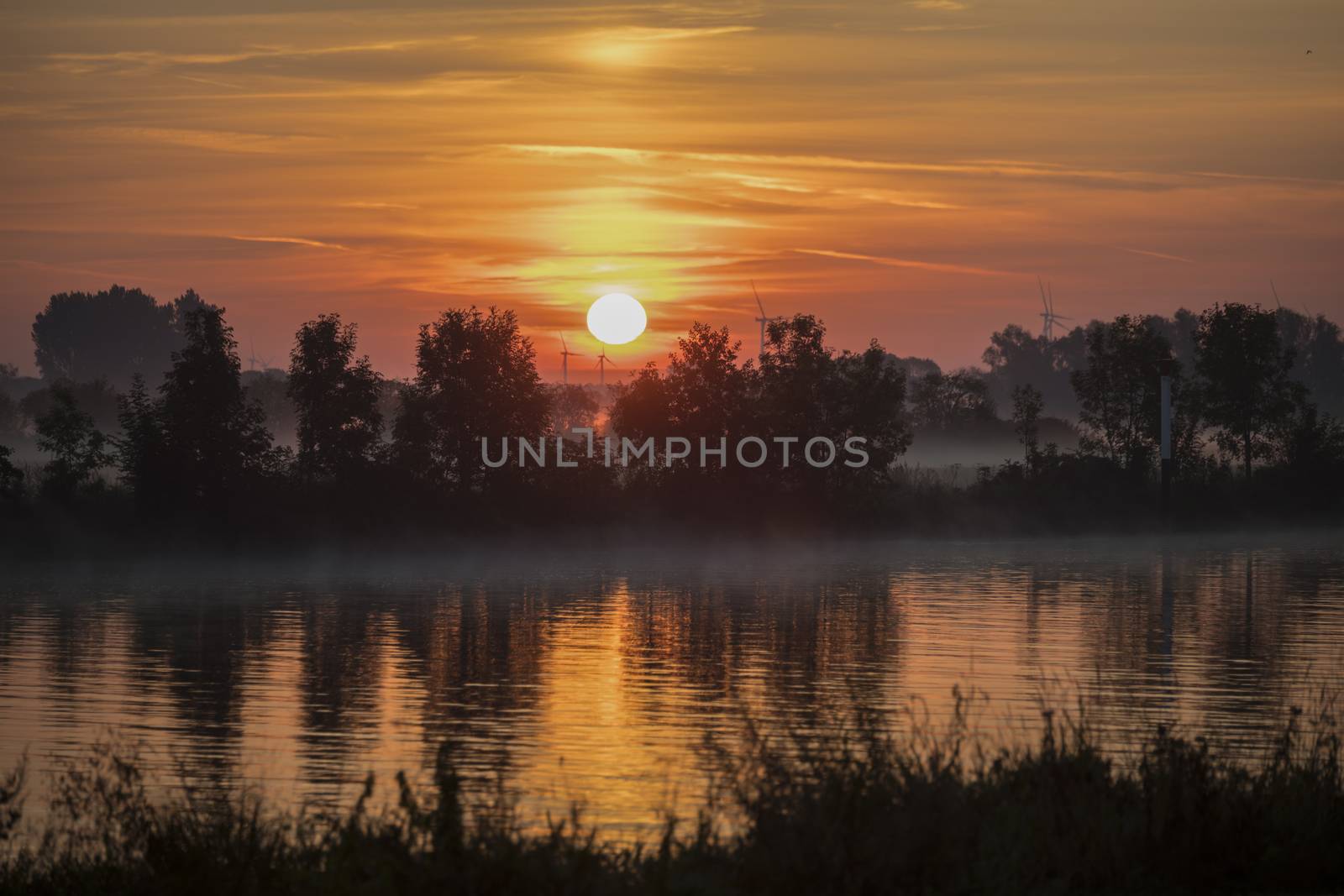 sunrise in the early morning over the river maas in limburg in holland with the trees mist and hazy fog