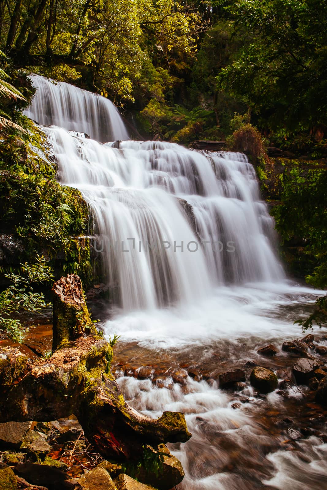 Liffey Falls in Tasmania Australia by FiledIMAGE