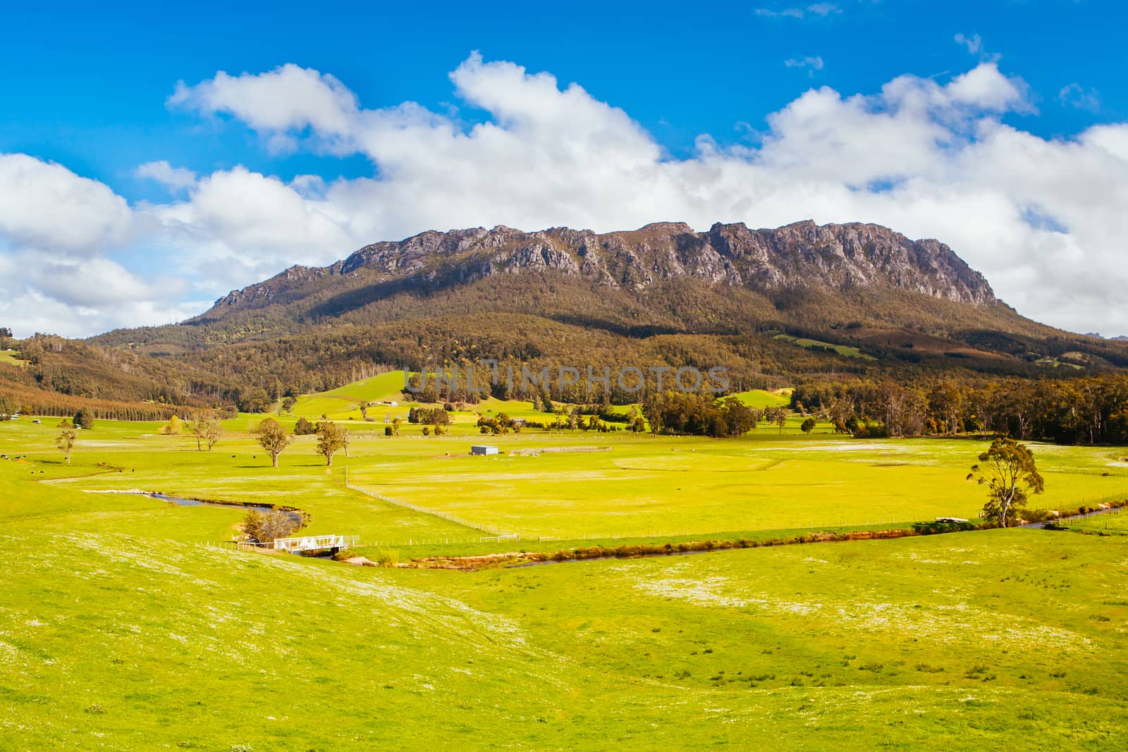 The stunning Mt Roland in central Tasmania near the town of Sheffield in Tasmania Australia
