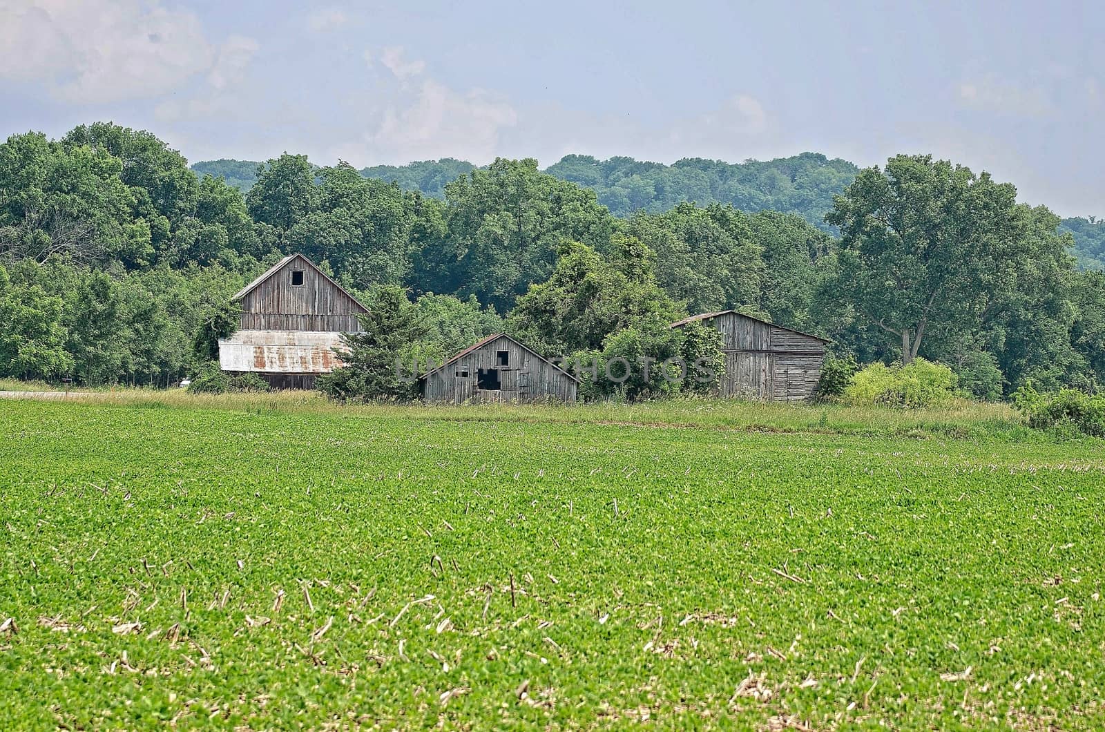 They are the outbuildings from a  once busy farm