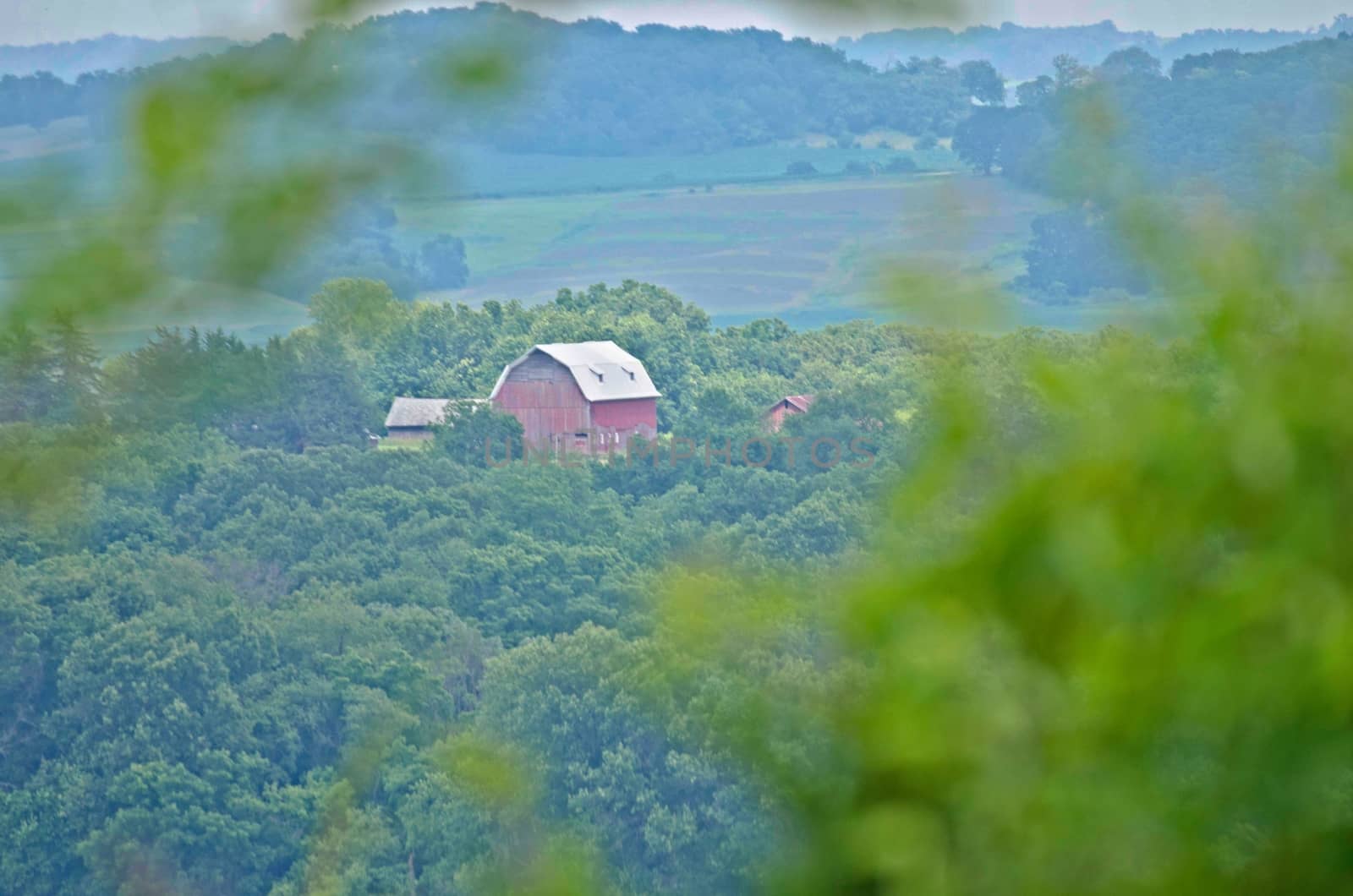 This is an old family farm on a midwestern summer's day.