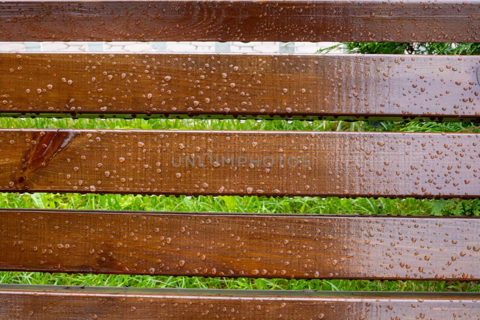 Drops of water on wooden bench after the rain, natural weather background by lapushka62