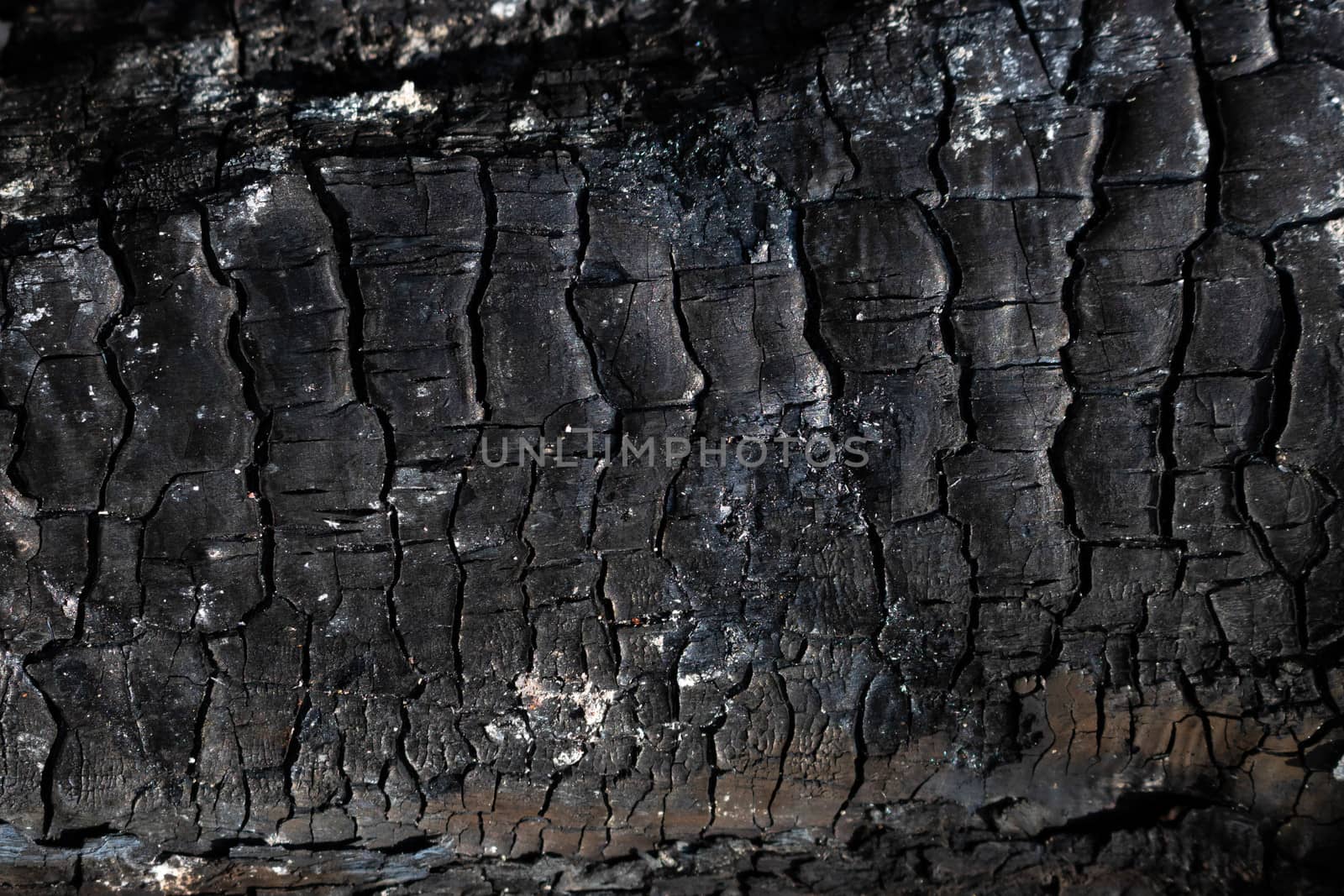 The texture of burnt wood, charcoal. Abstract background of burnt wood.