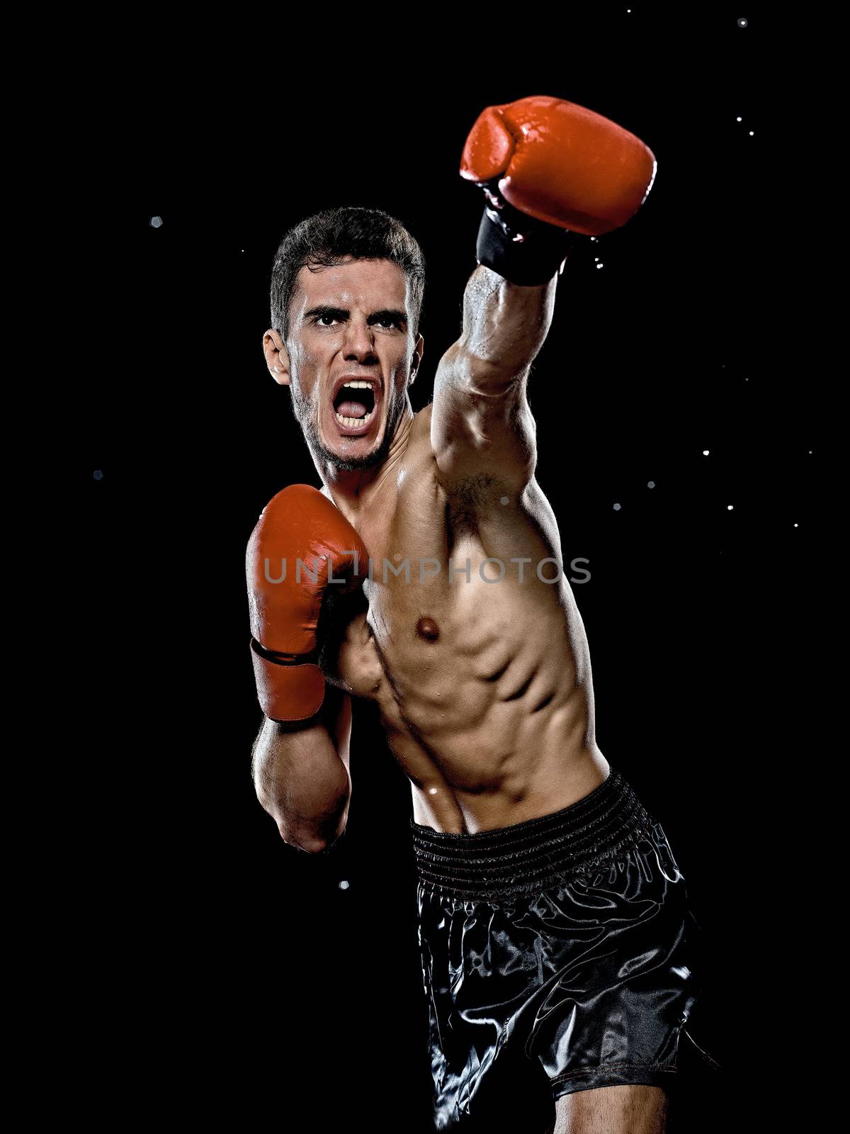 caucasian young boxer boxing man portrait waist up isolated black background by PIXSTILL