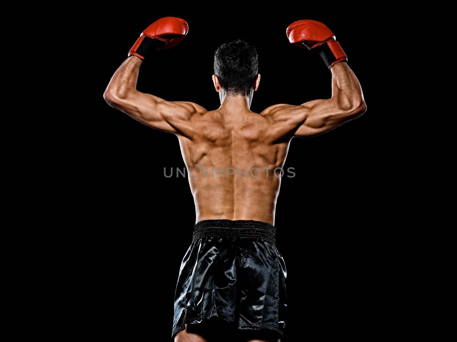 one caucasian young player man boxer boxing back rear view in studio isolated on black background
