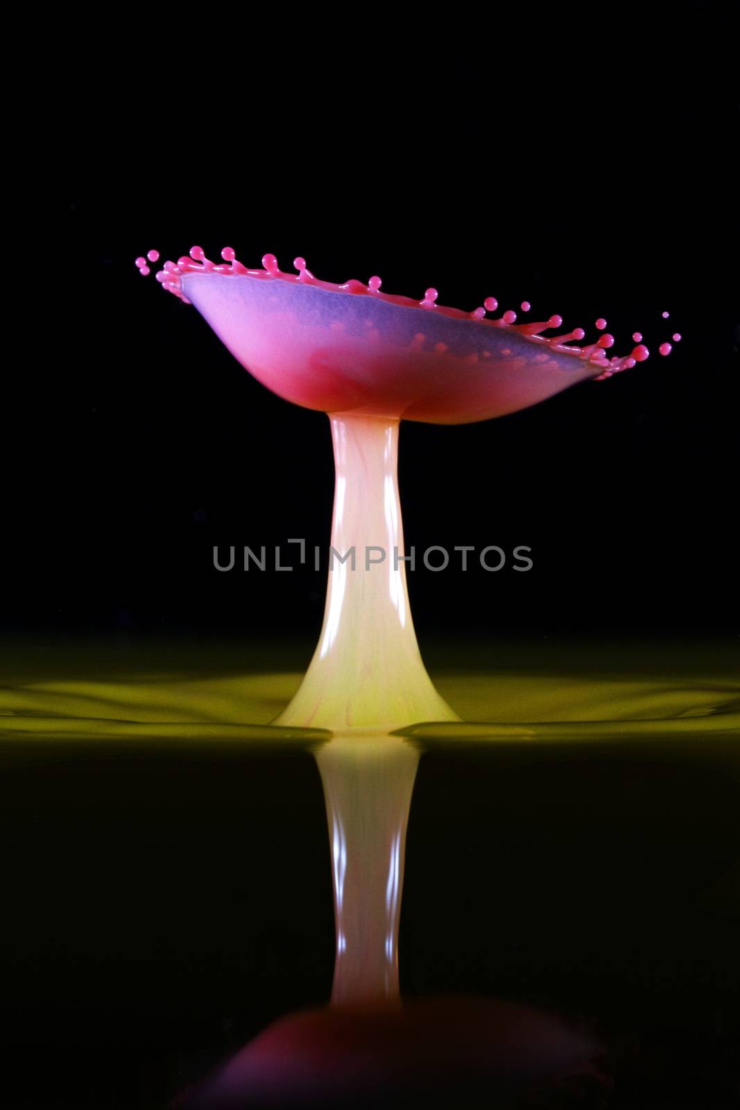 Red liquid is dropped into a tank of yellow water and two drops collide to form an inverted umbrella shape against a black background, with a water reflection. Liquid drop art, water drop photography
