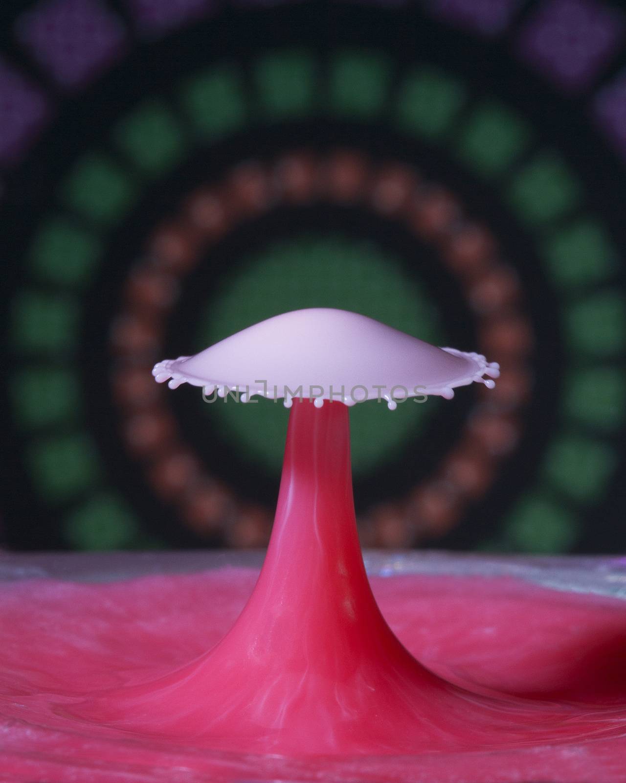 Milk dropped into a tank of red milk gives a pink umbrella shape in the center of a bulls eye backdrop. Liquid drop art, water drop photography