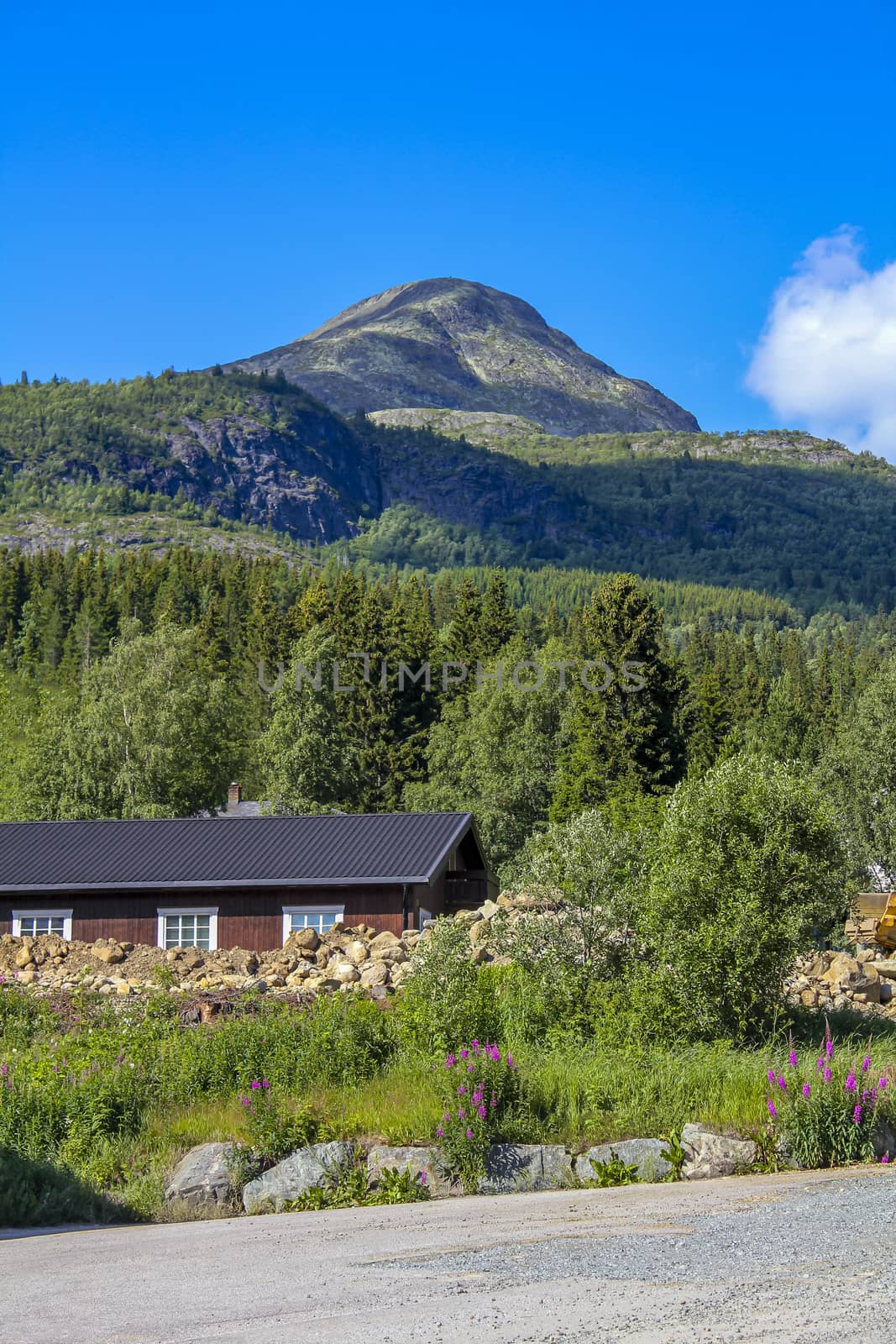 Brown beautiful cabin hut with mountain panorama, Hemsedal, Norway. by Arkadij