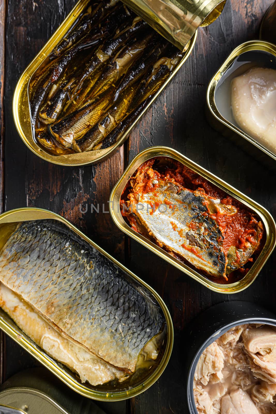 Conserves of canned fish with different types of fish and seafood, opened and closed cans with Saury, mackerel, sprats, sardines, pilchard, squid, tuna, over old wood surface, top view by Ilianesolenyi