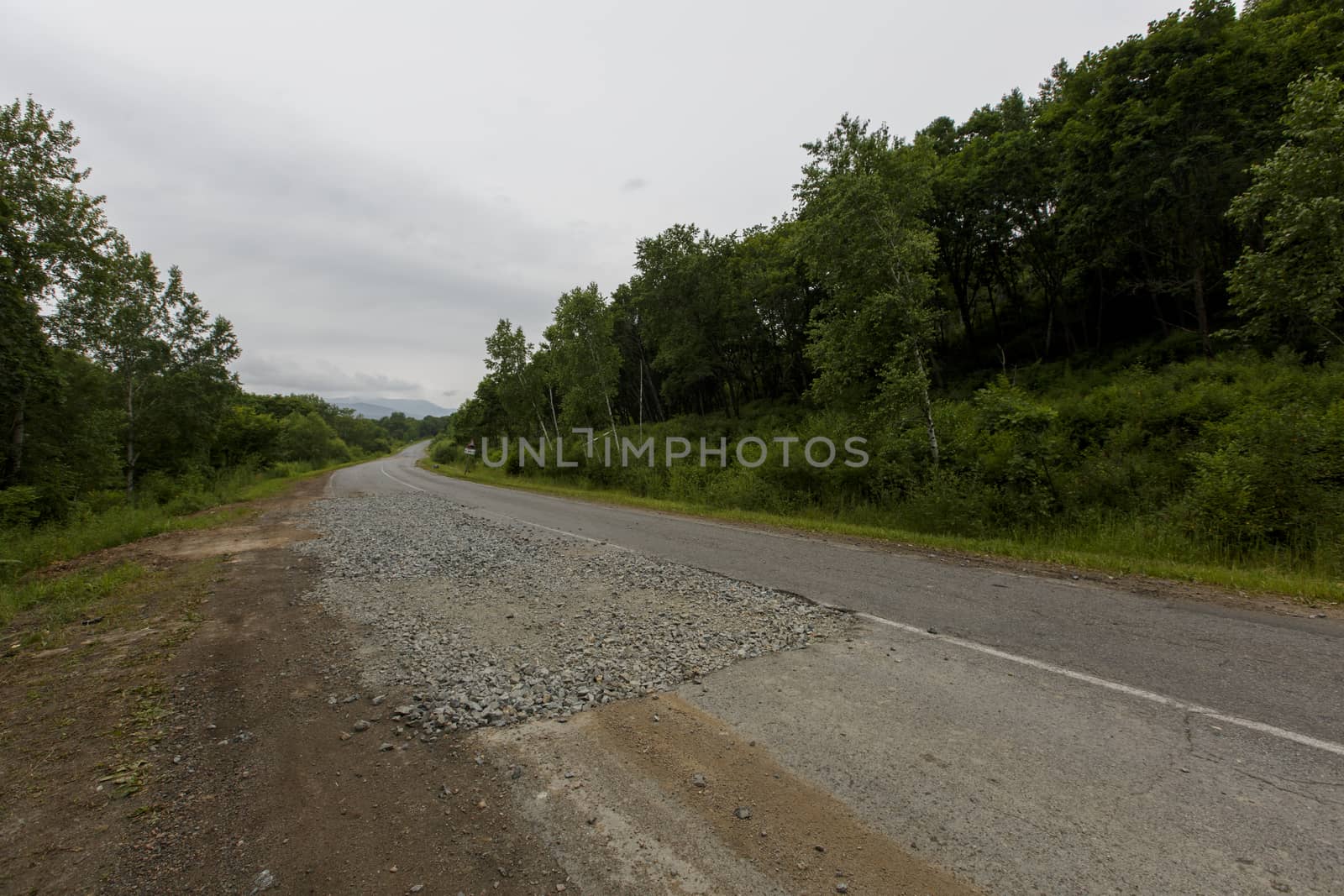 Very bad road in Russia. The asphalt road is all in holes in the middle of the forest