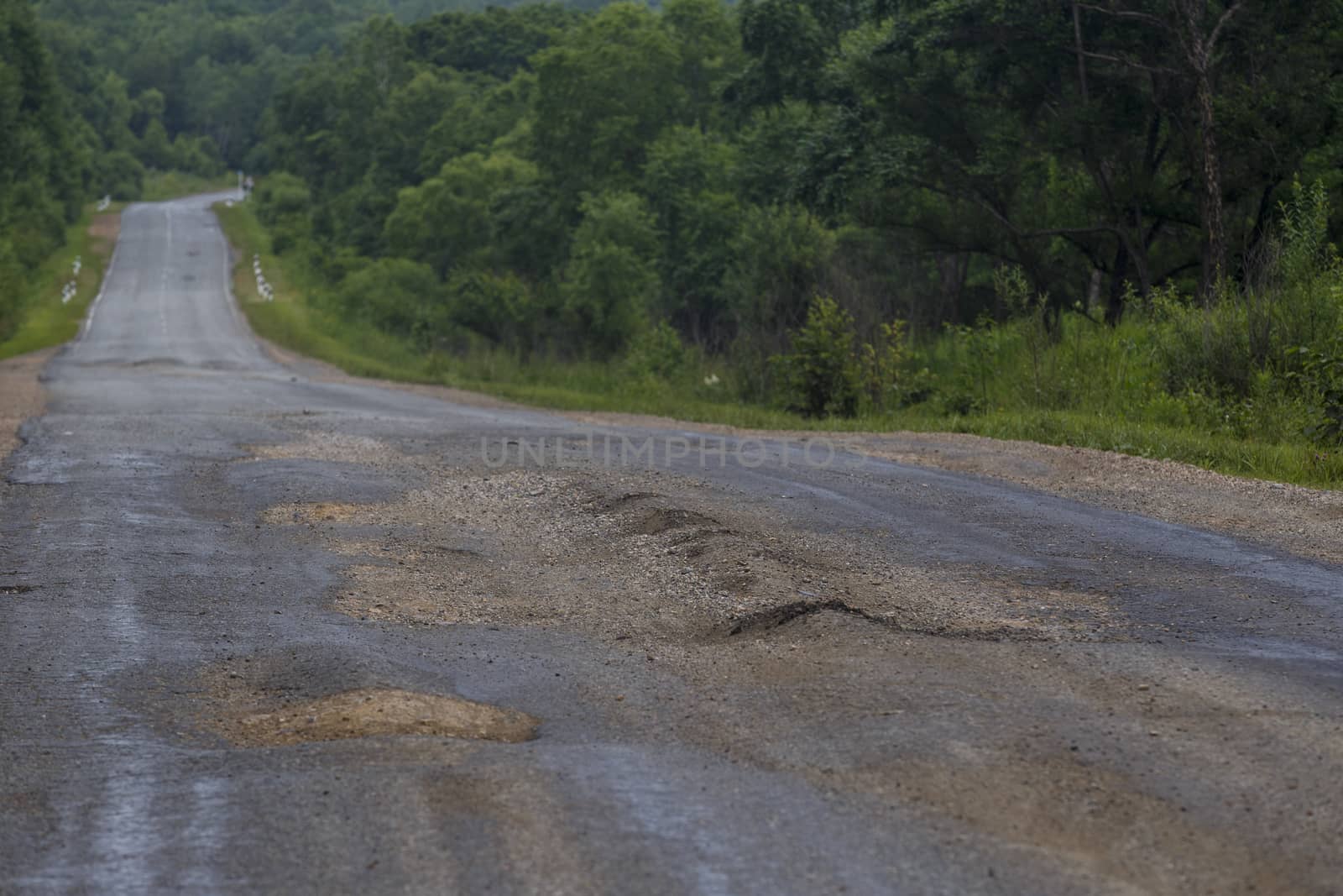 Very bad road in Russia. The asphalt road is all in holes in the middle of the forest