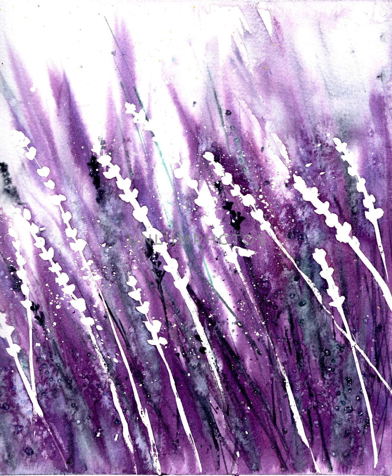 Watercolour painting of Lavender flowers field. 
