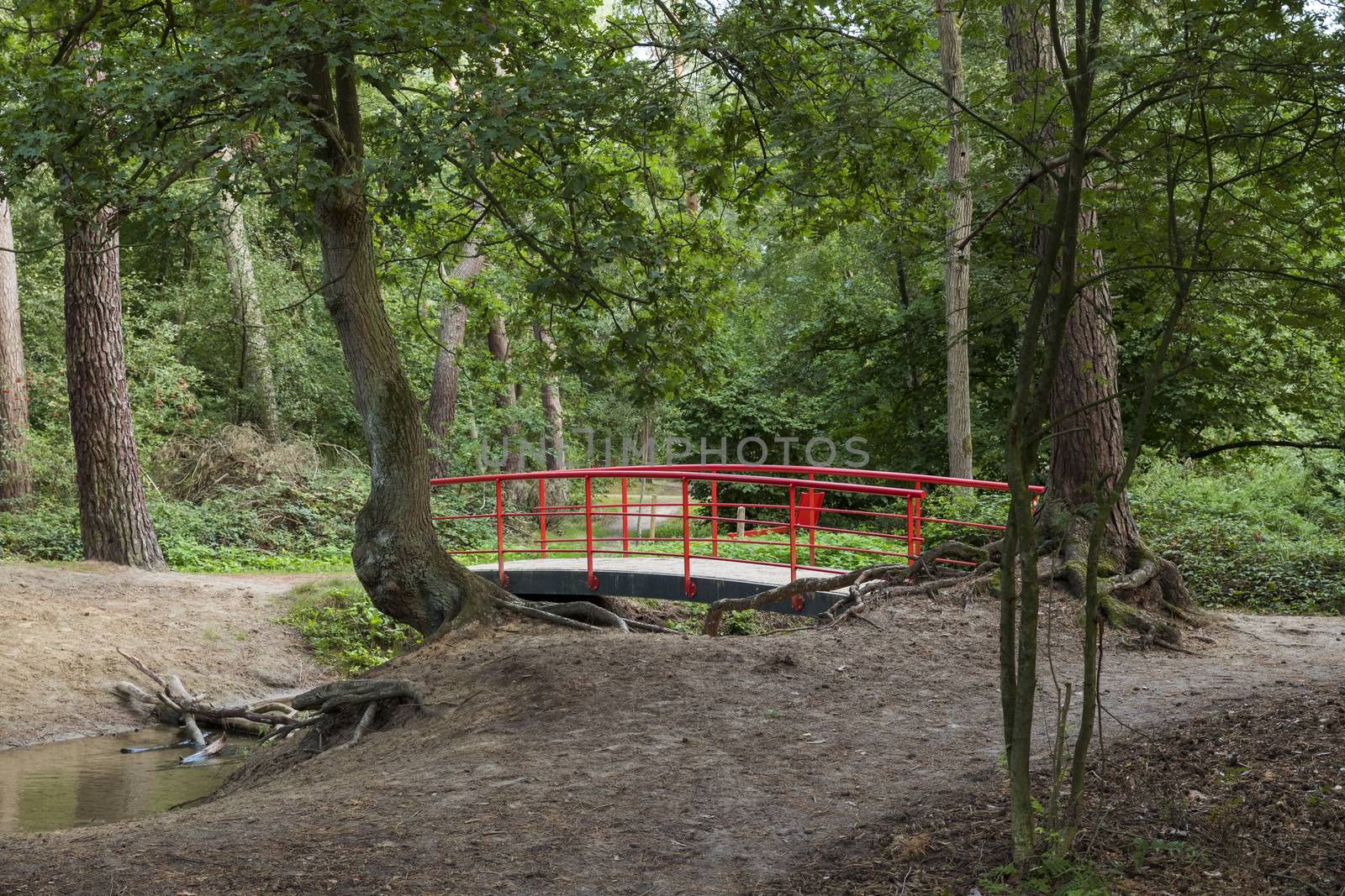 and walking path and typical red japanese bridge in garden with forest trees and plants and sand at the border of small water