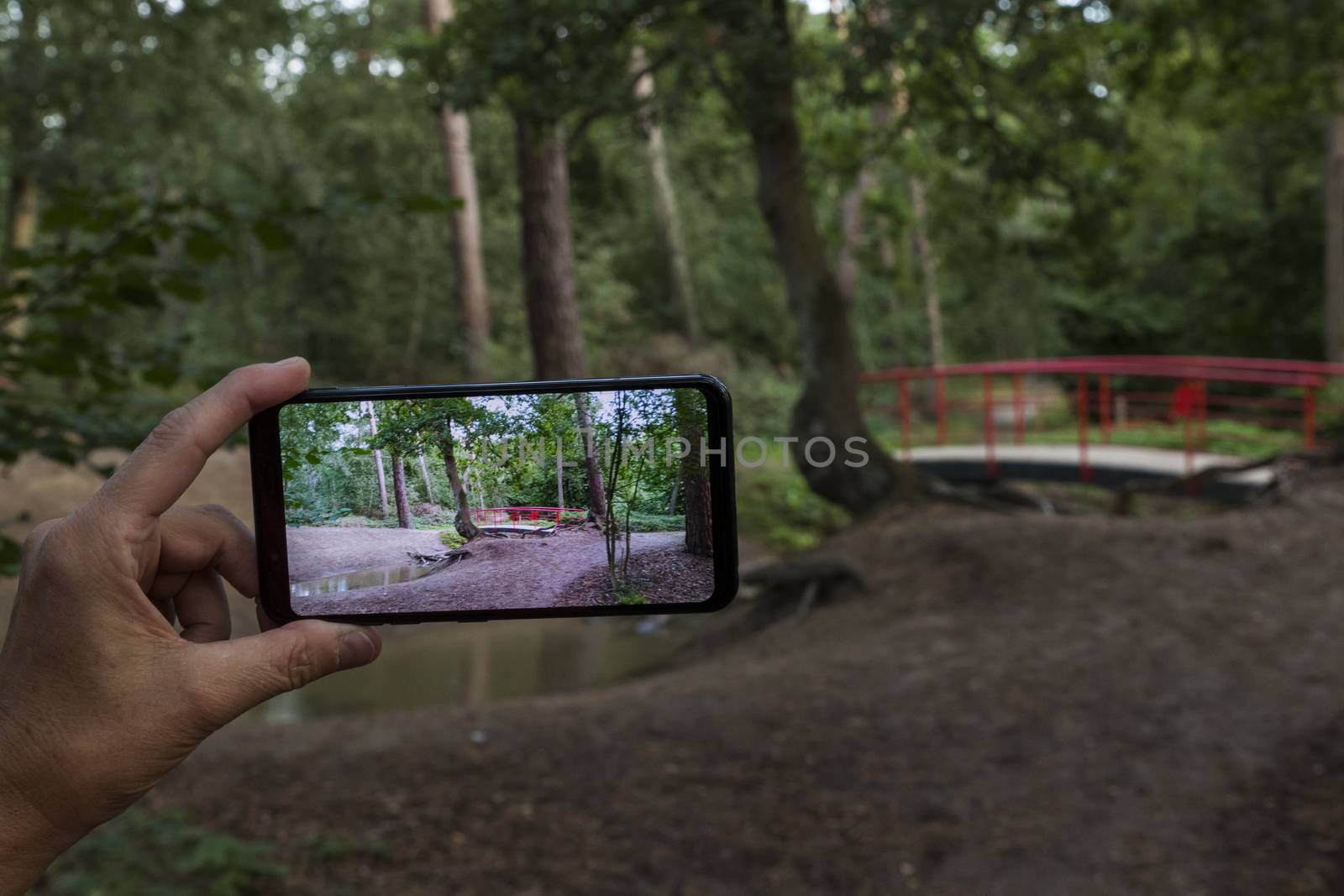 woman making a photo with smartphone of the  typical red japanese bridge in garden with forest trees and plants and sand at the border of small water