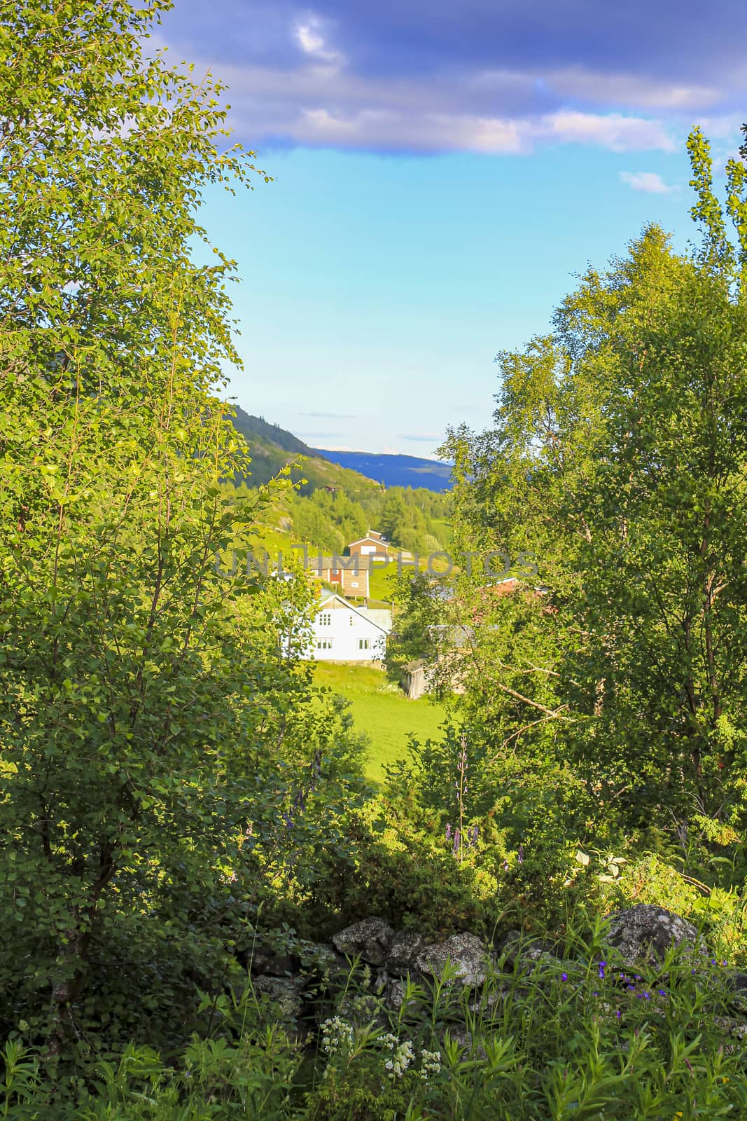 Panorama Norway, Hemsedal Mountains, cabins, huts, farmhouses and green meadows, Viken, Buskerud.