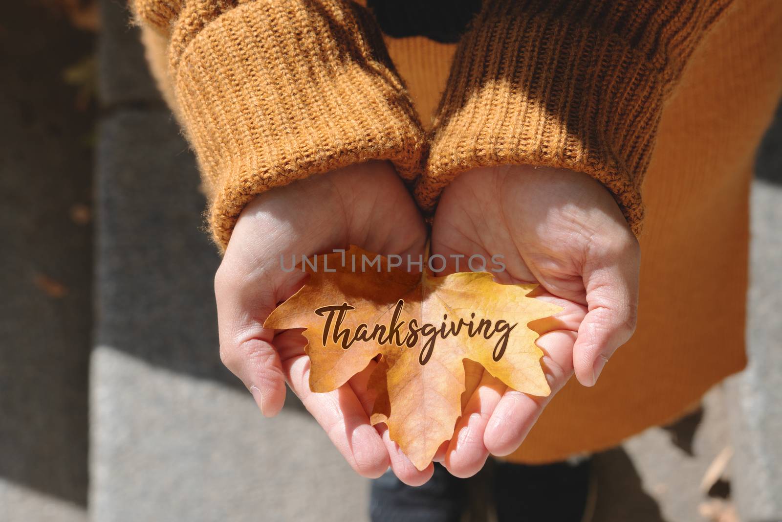 Happy Thanksgiving Day with Maple leave on woman hand and text