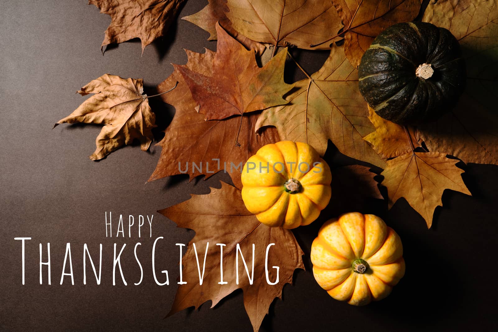 Happy Thanksgiving Day with pumpkin and maple leaves