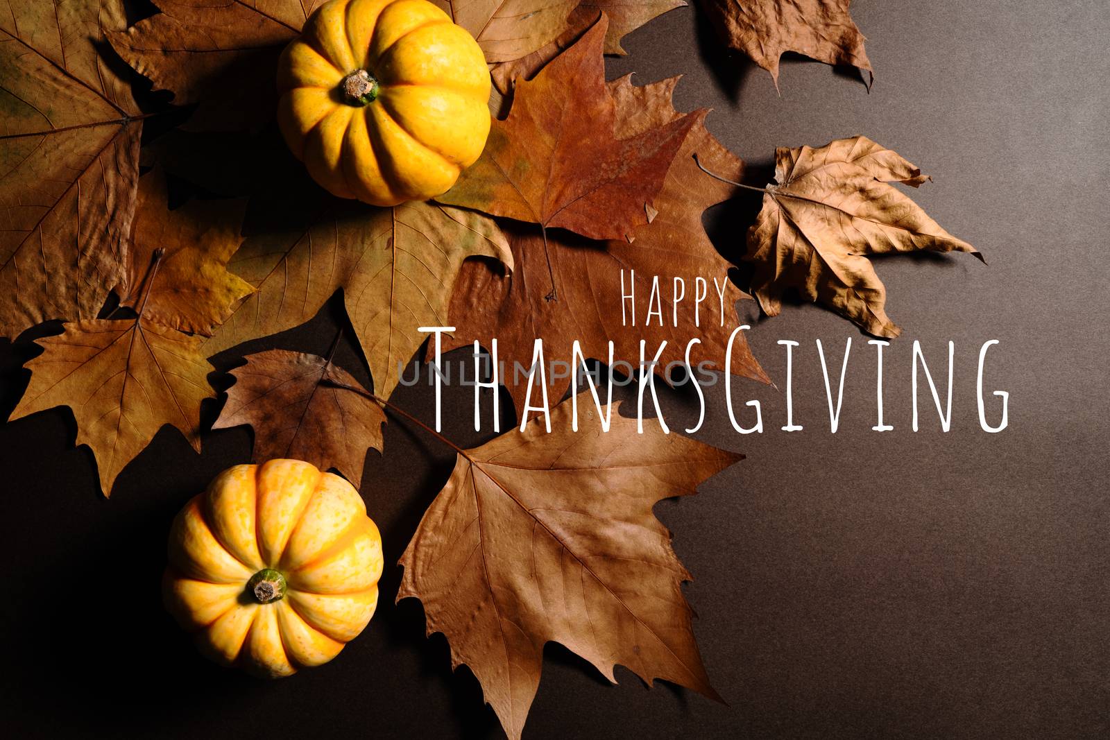 Happy Thanksgiving Day with pumpkin and maple leaves