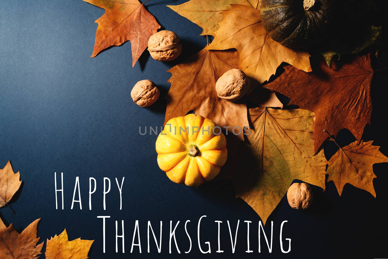 Happy Thanksgiving Day with maple leaves, nut and pumpkin on blue background