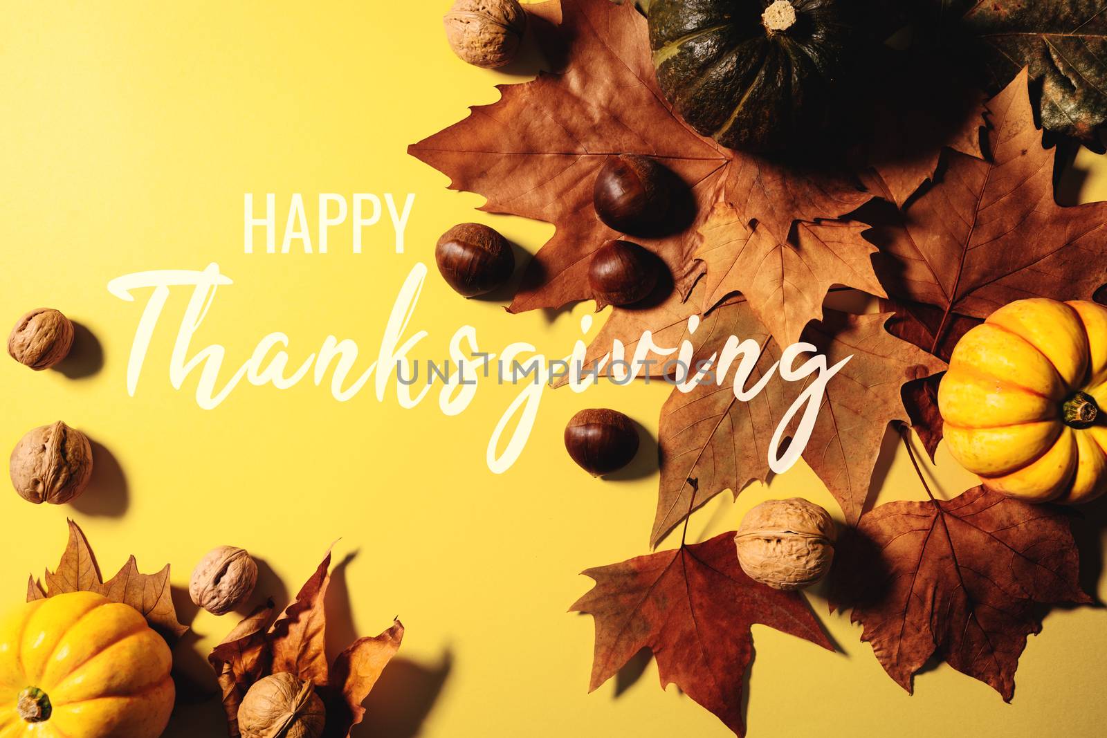 Happy Thanksgiving Day with maple leaves, nut and pumpkin on yellow background