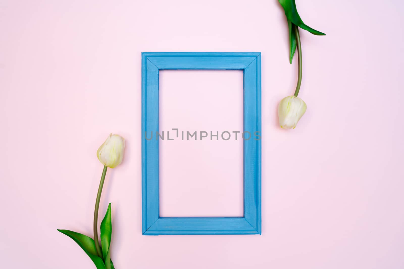 Flowers composition. tulip flowers with blue photo frame on pink background. Flat lay, top view, copy space