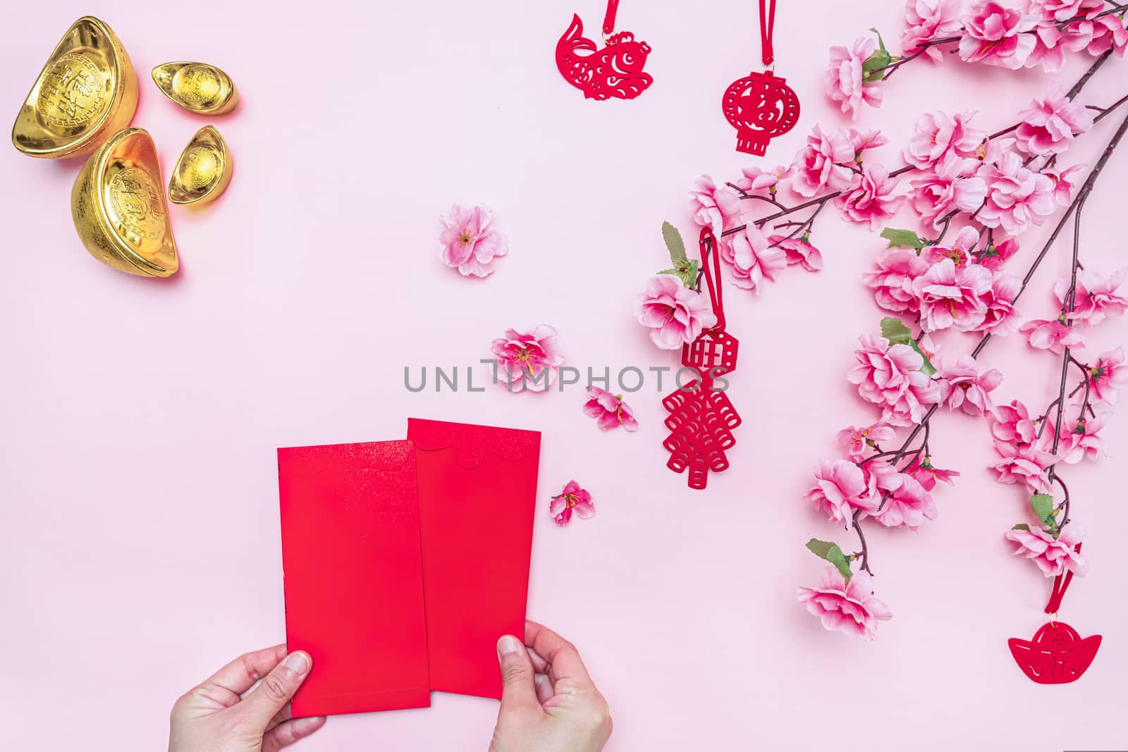 Flat lay Chinese lunar new year hand offering red envelope on pink background, Translation of text appear in image: Prosperity, rich and healthy.