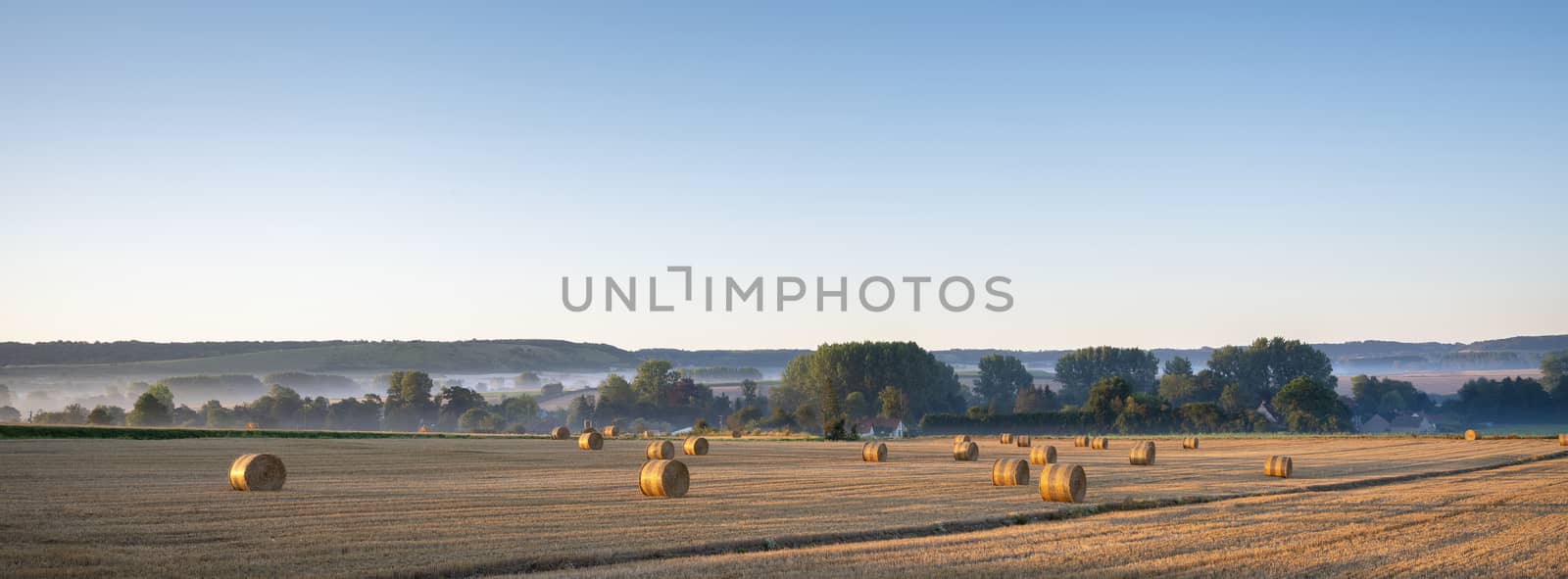 golden straw bales in early morning light on countryside of french normandy near calais and boulogne in parc naturel des caps et marais d’opale
