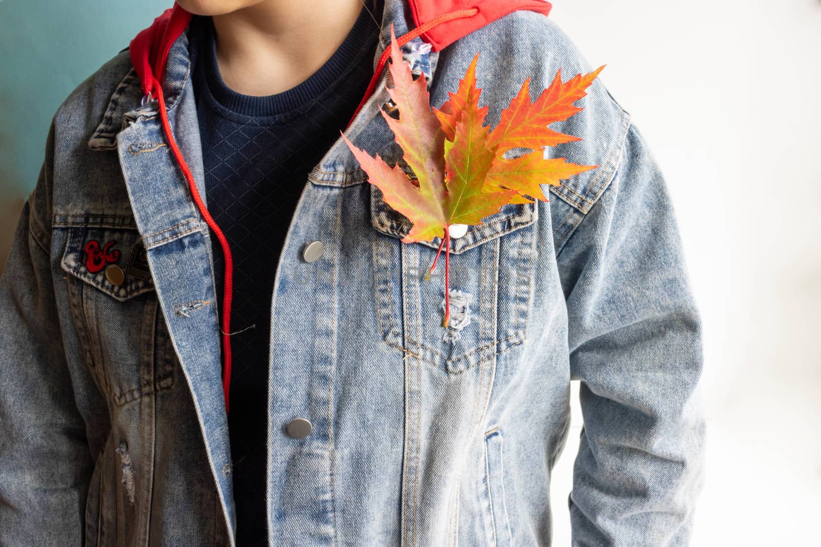 Beautiful multi-colored autumn maple leaves on the flap of a denim jacket.