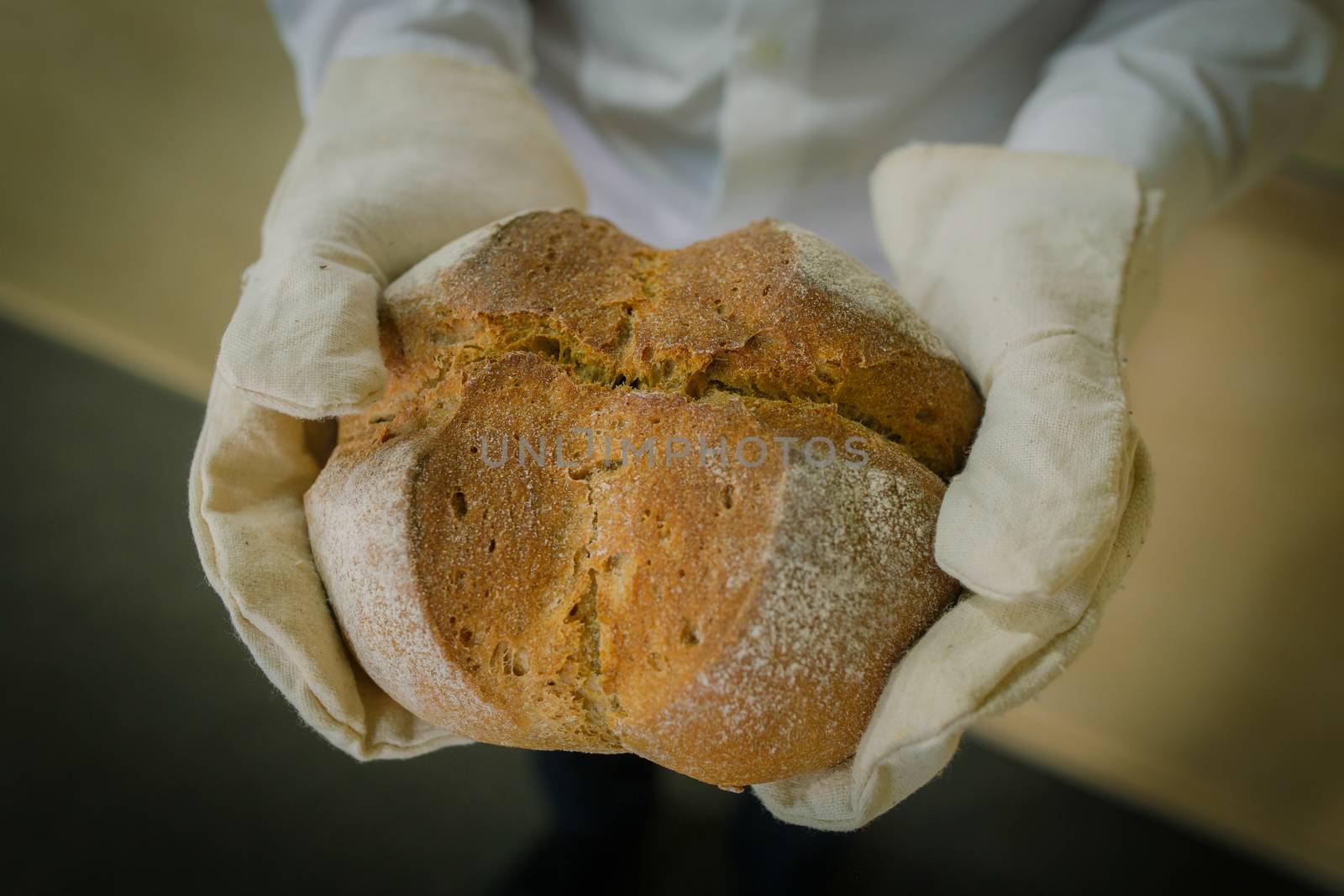 Baker holding fresh round bread with linen mittens