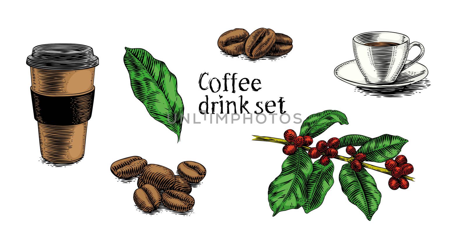 Set of pictures about coffee drink (cups, plant, coffee beans)