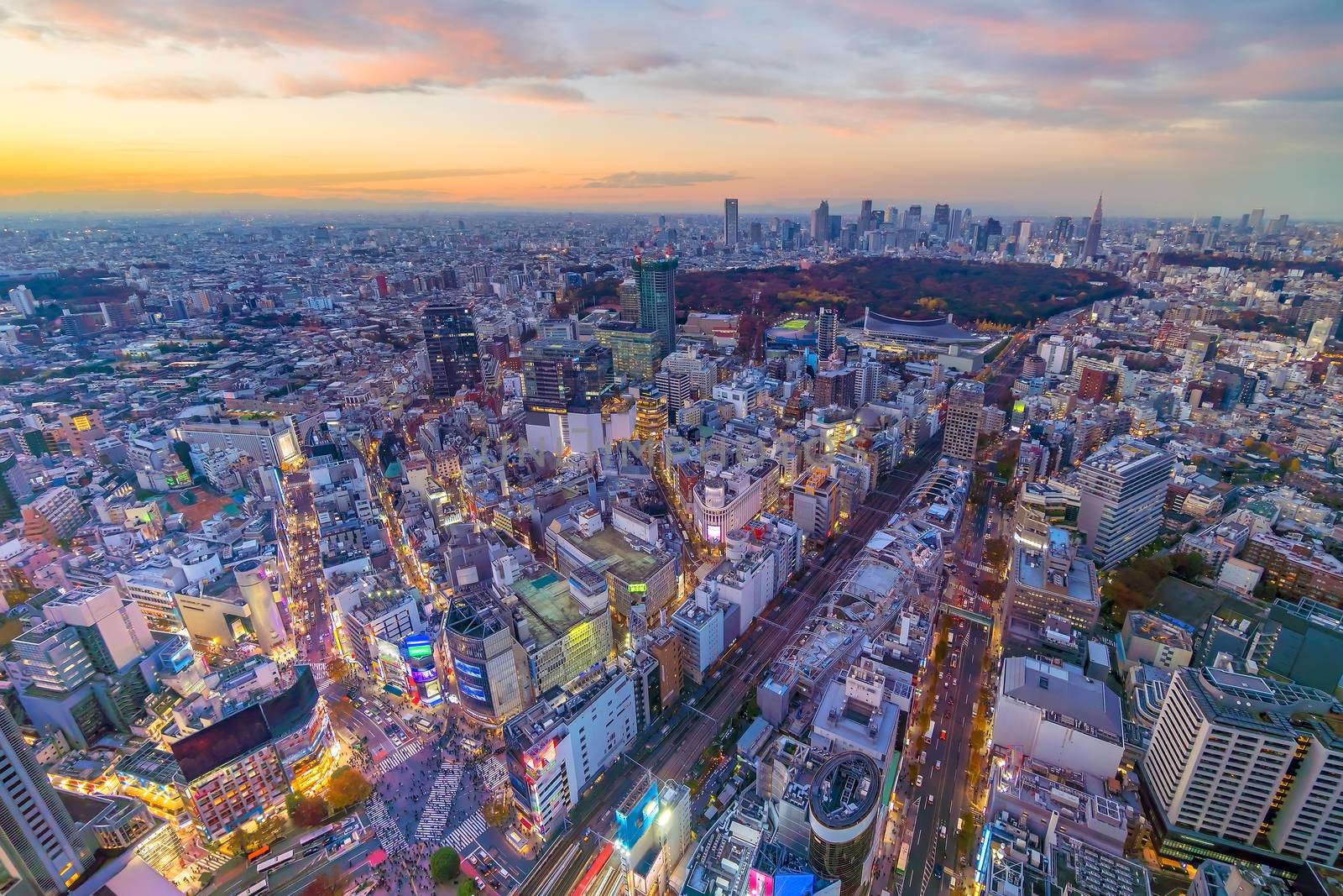 Top view of Tokyo city skyline (Shinjuku and Shibuya) area at sunset in Japan.

