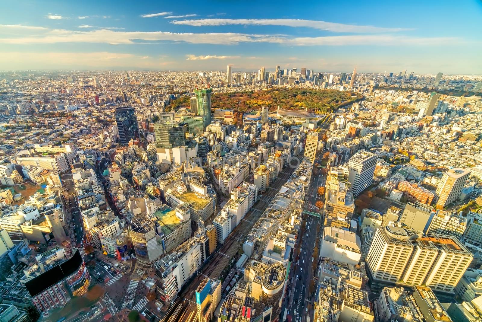 Top view of Tokyo city skyline (Shinjuku and Shibuya) area at sunset in Japan.

