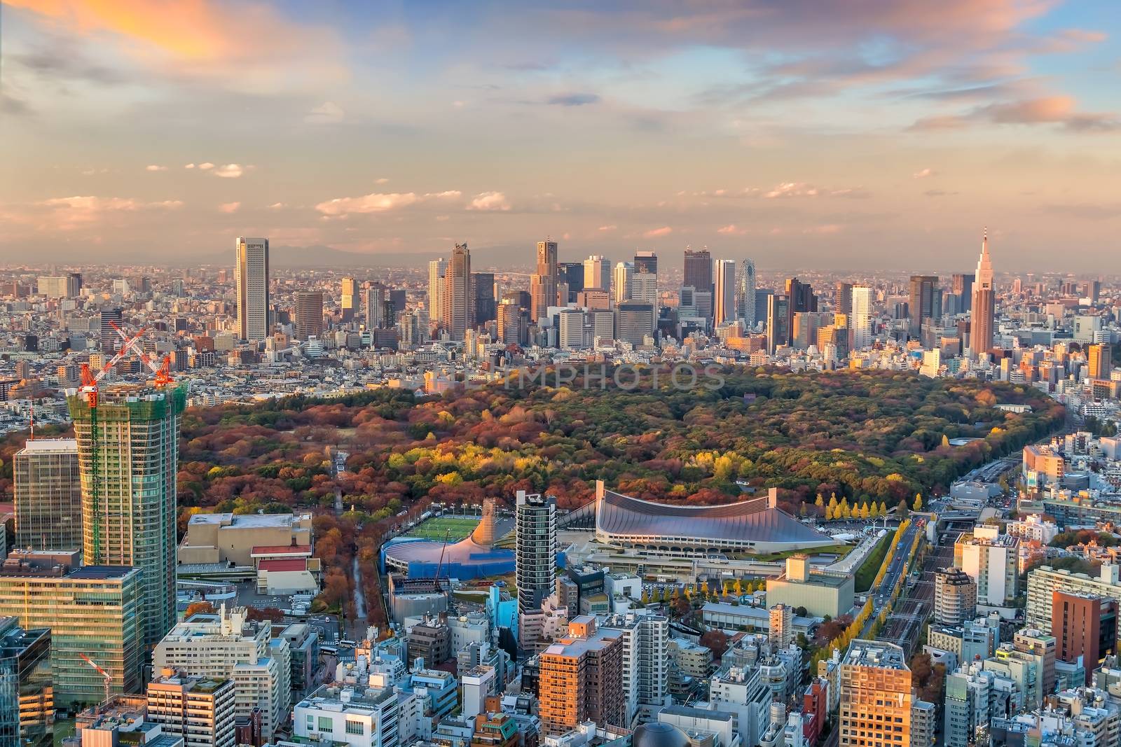 Top view of Tokyo city skyline (Shinjuku area) at sunset in Japan.

