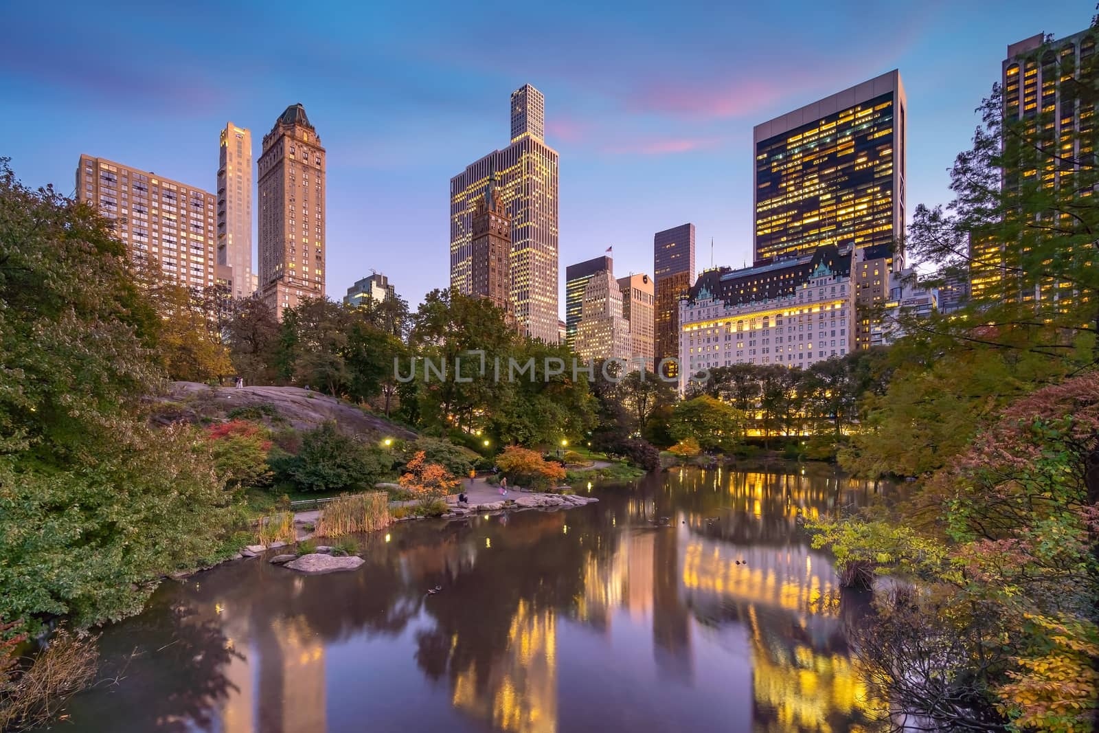 Beautiful foliage colors of New York Central Park at sunset in USA