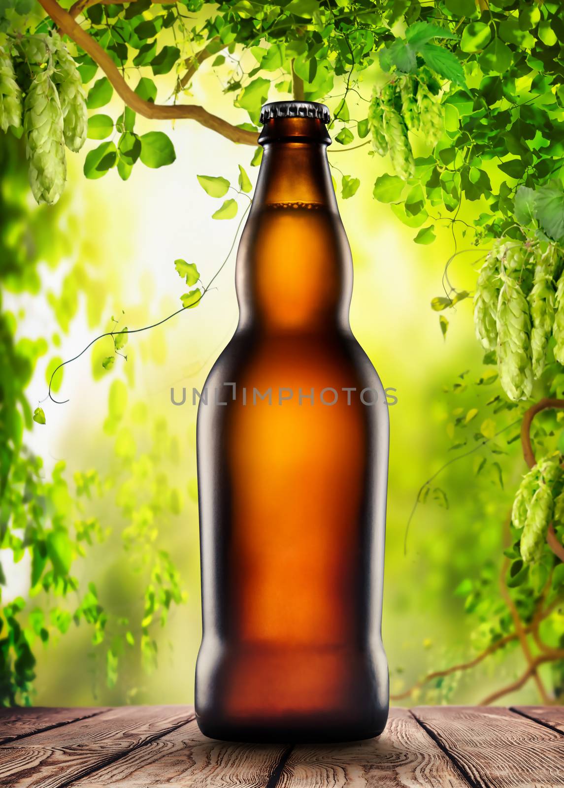 Brown bottle with beer by Givaga