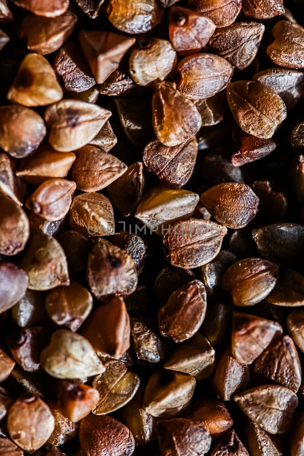 Buckwheat grain closeup, food texture and cook book backgrounds