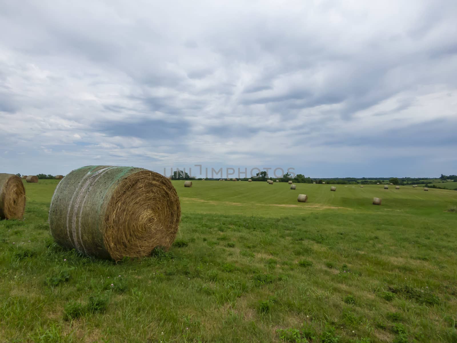 Beautiful landscape with straw bales in end of summerdefault