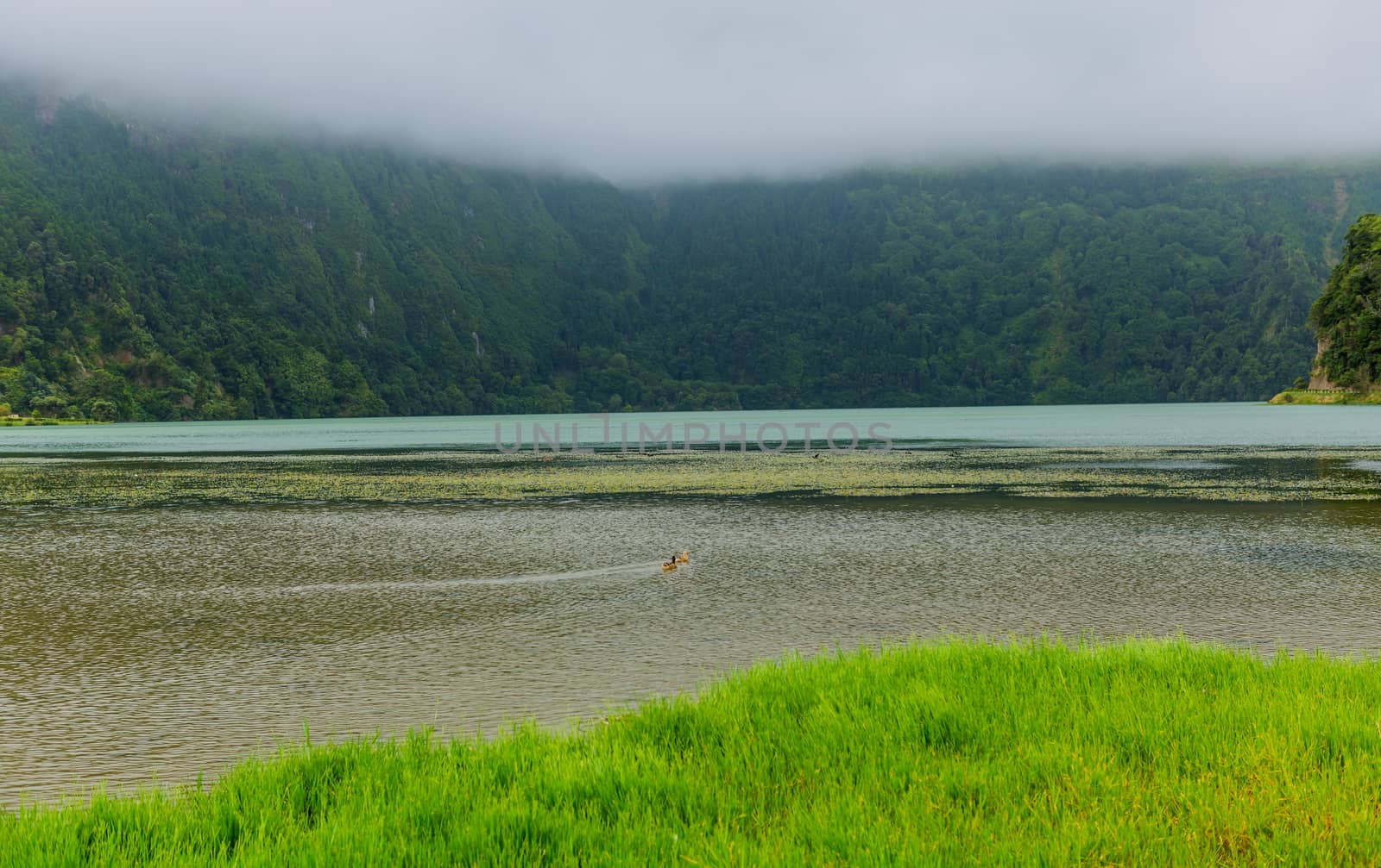Lake of Sete Cidades by zittto
