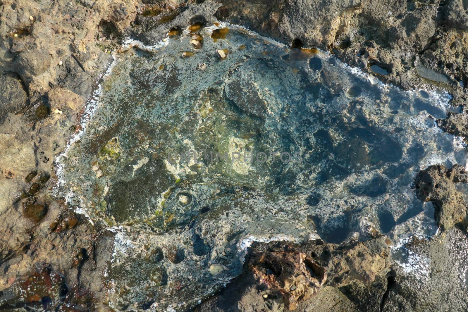 Water puddle and rock texture at the ocean coast.