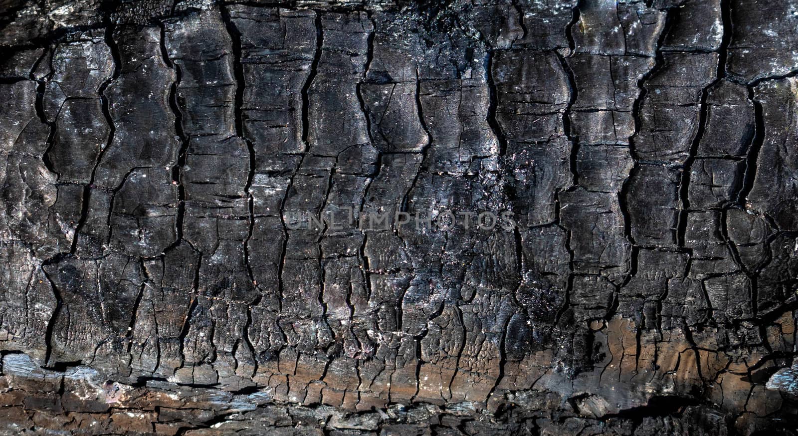 The texture of burnt wood, charcoal. Abstract background of burnt wood.