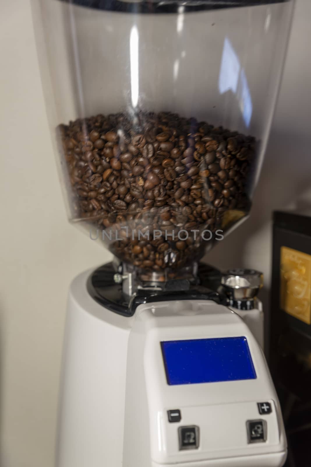 hopper for professional coffee for bars by carfedeph