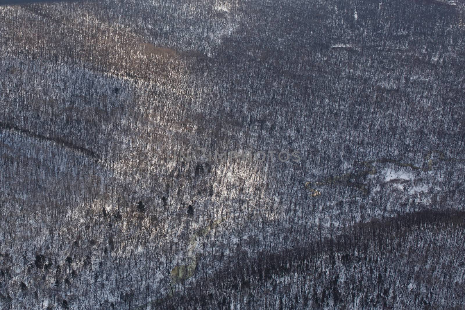 View from above. Winter coniferous forest, captured from a helicopter by PrimDiscovery