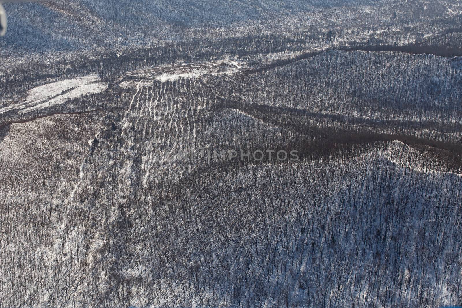 View from above. Winter coniferous forest, captured from a helicopter by PrimDiscovery