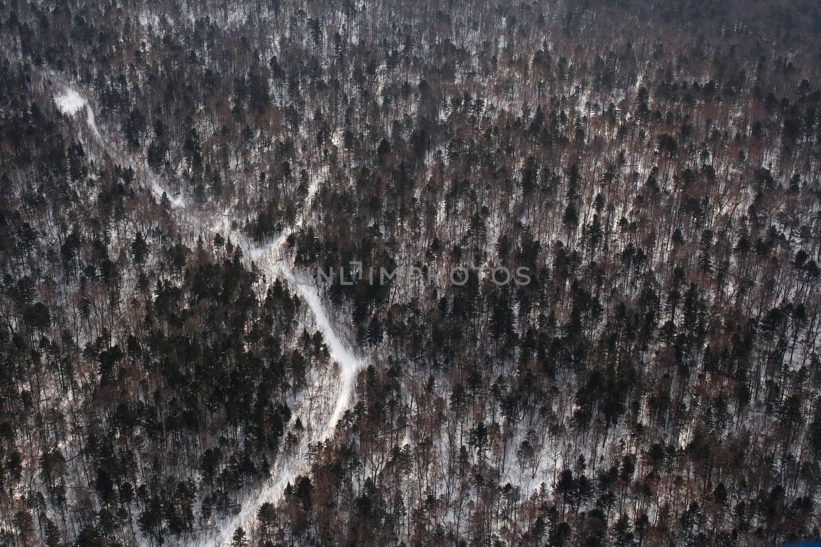 View from above. Winter coniferous forest, captured from a helicopter by PrimDiscovery