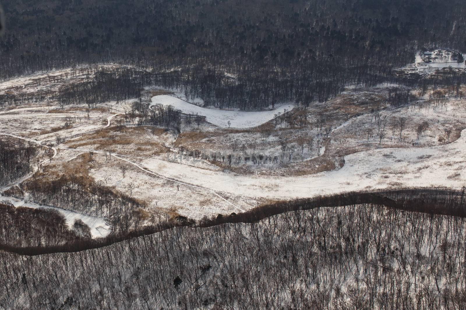 View from above. Winter coniferous forest, captured from a helicopter by PrimDiscovery