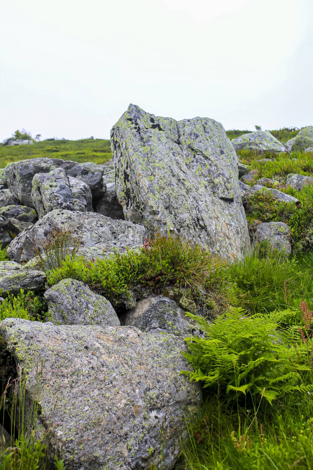 Rocks and cliffs on Veslehødn Veslehorn mountain in Hemsedal, Norway. by Arkadij