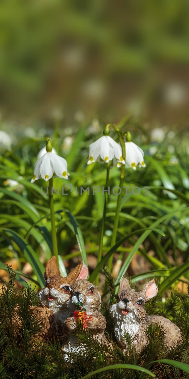 a soft flower blossom in a nature garden