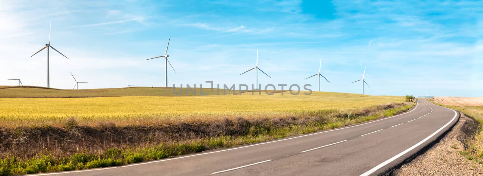 Wind turbine on green and yellow field. Empty road in foreground, blue
sky with clouds in background. Alternative energy source, production
and power generation. Ecology and freedom concept. Panorama.